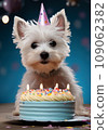 Creative animal concept. puppy in a festive cone hat with a birthday cake, on a holiday background, advertising, copy space. invitation to the Birthday 109062382