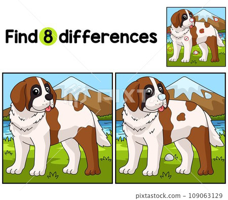 Saint Bernard Dog Find The Differences 109063129