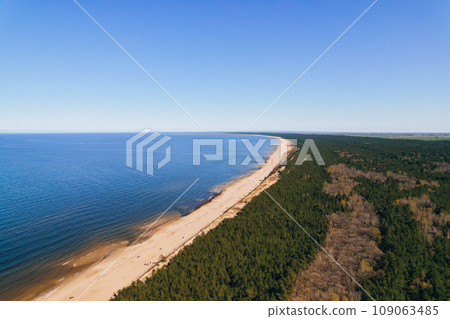 Forest Landscape AERIAL view drone with sandy beach of Baltic Sea in Poland green forest. Nature reserve on Sobieszewo island 109063485