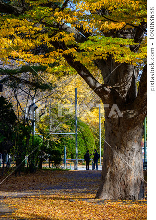 大通公園的秋天_7406 大通公園的秋天_7406 109063638