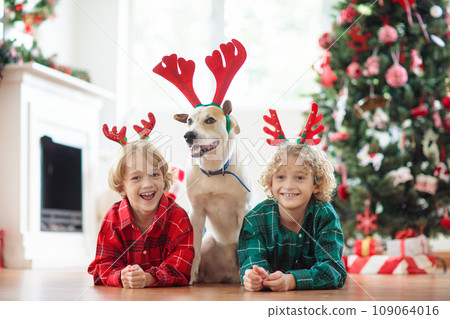 Christmas at home. Kids and dog under Xmas tree. 109064016