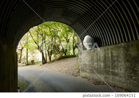 向山隧道 養老溪谷 向山隧道 養老溪谷 109064151