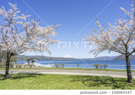 Cherry blossoms at Lake Toya and Mt. Yotei, Toyako Town 109064347