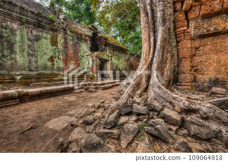 High dynamic range (hdr) image of ancient ruins with trees, Ta Prohm temple, Angkor, Cambodia High dynamic range (hdr) image of ancient ruins with trees, Ta Prohm temple, Angkor, Cambodia 109064918
