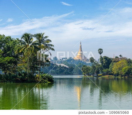 Travel Myanmar tourism background - view of Shwedagon Pagoda over Kandawgyi Lake in Yangon, Burma Myanmar 109065060