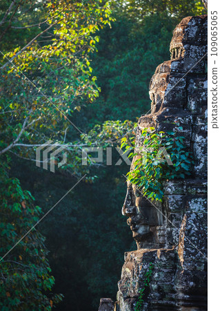 Ancient stone face of Bayon temple, Angkor, Cambodia with growing plants 109065065