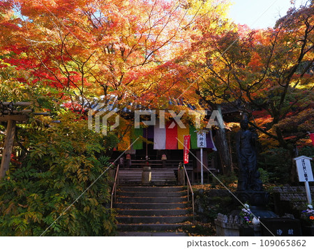 Kyoto's Kumano Kannonji Temple in autumn leaves 109065862