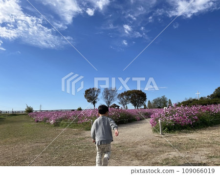 在宇宙領域散步 109066019