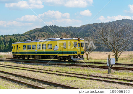 夷隅鐵道黃色列車 夷隅鐵道黃色列車 109066163