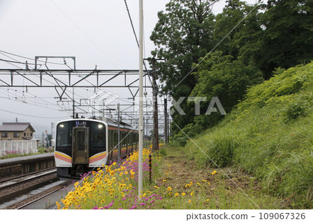 初夏抵達大澤站的上越線E129系列車（新潟縣南魚沼市） 109067326