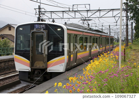 Joetsu Line E129 series train arriving at Osawa Station in early summer (Minamiuonuma City, Niigata Prefecture) 109067327