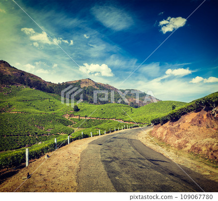 Vintage retro hipster style travel image of Kerala India travel background - road in green tea plantations in mountains in Munnar, Kerala, India 109067780