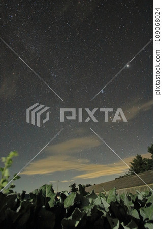 Night view of Nobeyama and beautiful starry sky in autumn 109068024