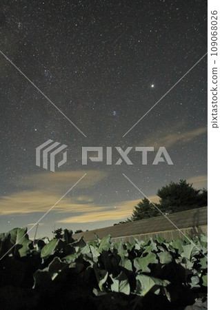 秋天的野邊山夜景和美麗的星空 秋天的野邊山夜景和美麗的星空 109068026