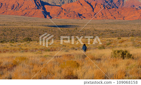 Young woman in a western style outfit exploring the amazing Red Rock Canyon in Nevada 109068158