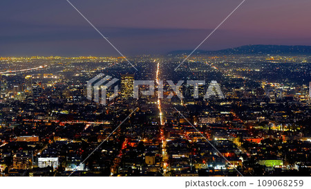 Los Angeles by night - impressive view - L.A. city lights 109068259