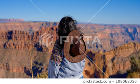 The breathtaking view over the Grand Canyon in Arizona 109068356