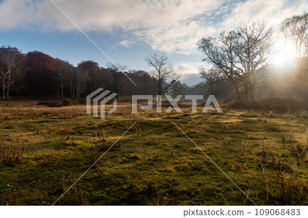 Sunrise in the grassland Sunrise in the grassland 109068483
