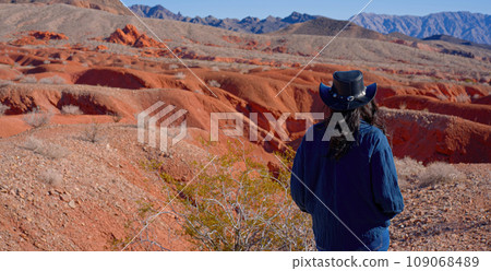 Young woman is fascinated by the breathtaking view over the canyons Young woman is fascinated by the breathtaking view over the canyons 109068489