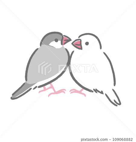 Sparrow facing each other 109068882