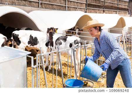 Portrait of a focused young woman with a bucket working on a livestock farm 109069248