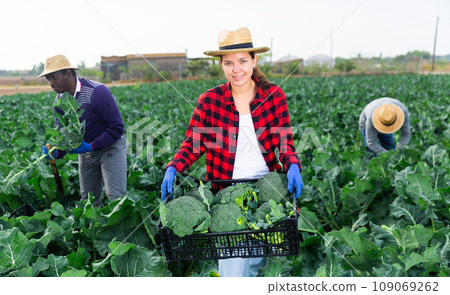 Portrait of young farmer woman holding crate full of broccoli Portrait of young farmer woman holding crate full of broccoli 109069262