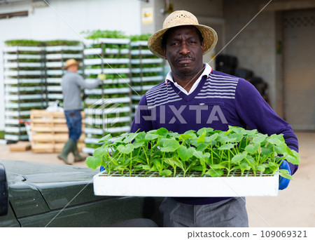 Portrait of farmer with box of seedlings in his hands 109069321