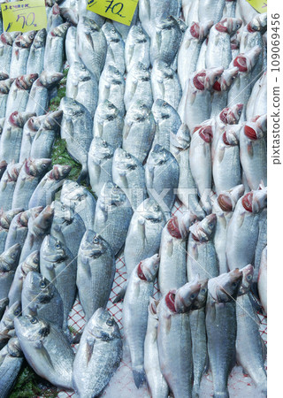 fresh fish in ice at local market shop  109069456