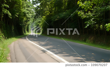 綠色環繞的道路 109070207