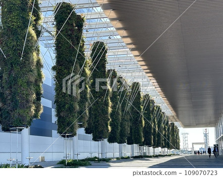 新特麗亞飛行公園 109070723