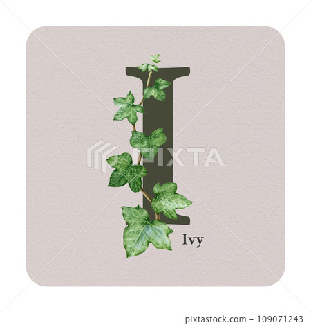 Letter I with ivy decor on the square card. Watercolor illustration. Forest nature ABC alphabet element for study. Wildlife nature alphabet letter I decorated with ivy stem. White background Letter I with ivy decor on the square card. Watercolor illustration. Forest nature ABC alphabet element for study. Wildlife nature alphabet letter I decorated with ivy stem. White background 109071243