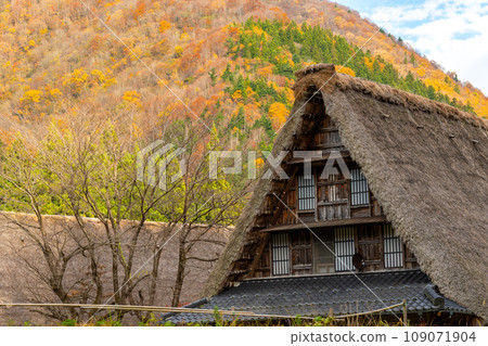 World Heritage Site Gokayama Suganuma Gassho-style Village Welcomes the Refreshing Autumn Leaves Season | Nanto City, Toyama Prefecture 109071904