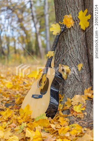 guitar in autumn leaves guitar in autumn leaves 109072354