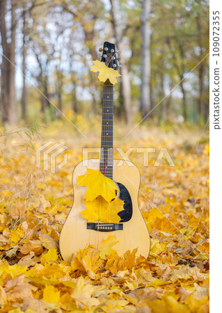 guitar in autumn leaves guitar in autumn leaves 109072355