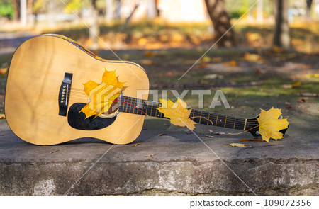 guitar in autumn leaves guitar in autumn leaves 109072356