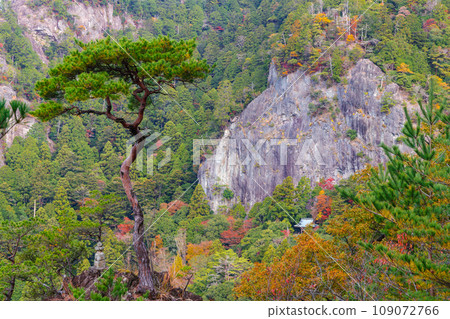 秋天的蓬萊寺山、鏡岩(愛知縣新城市) 秋天的蓬萊寺山、鏡岩(愛知縣新城市) 109072766