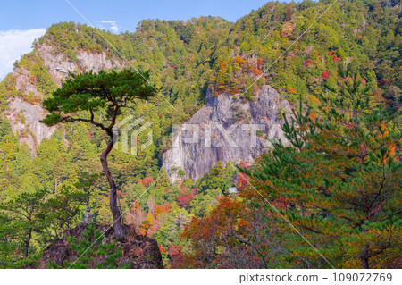 秋天的蓬萊寺山、鏡岩（愛知縣新城市） 109072769