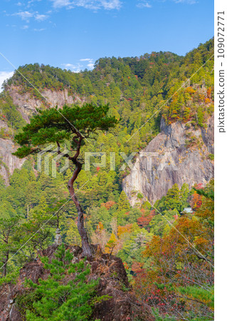 秋天的蓬萊寺山、鏡岩(愛知縣新城市) 秋天的蓬萊寺山、鏡岩(愛知縣新城市) 109072771