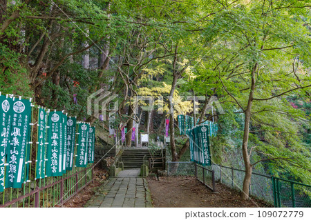 The approach to Horaizan Toshogu Shrine (Shinshiro City, Aichi Prefecture) 109072779