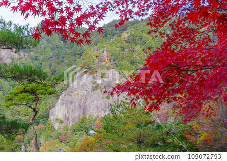 Autumn leaves at Mount Horaiji (Shinshiro City, Aichi Prefecture) Autumn leaves at Mount Horaiji (Shinshiro City, Aichi Prefecture) 109072793
