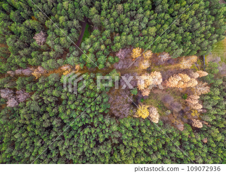 Aerial drone view of stunning colorful autumn fall forest. Aerial drone view of stunning colorful autumn fall forest. 109072936