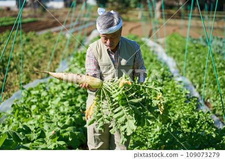 一個人在收割蘿蔔 一個人在收割蘿蔔 109073279