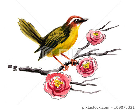 Bird on a blossoming tree branch. Hand-drawn ink and watercolor sketch 109073321