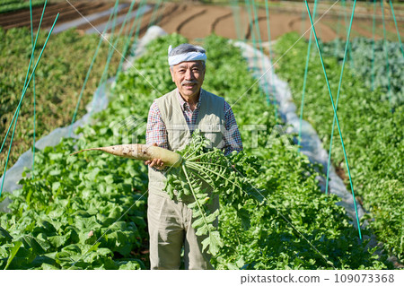 A man holding freshly harvested radish in his hand 109073368