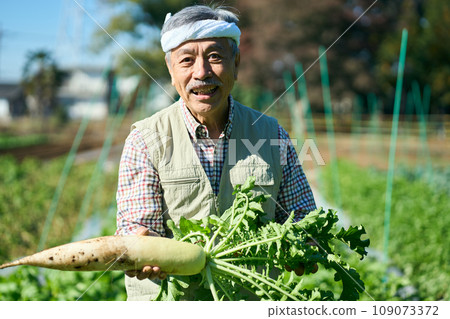 A man holding freshly harvested radish in his hand 109073372