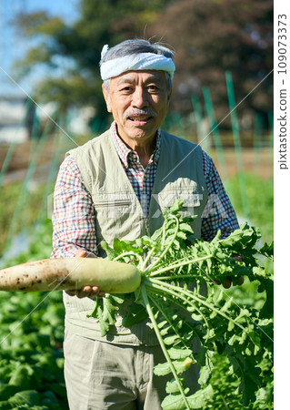 A man holding freshly harvested radish in his hand 109073373