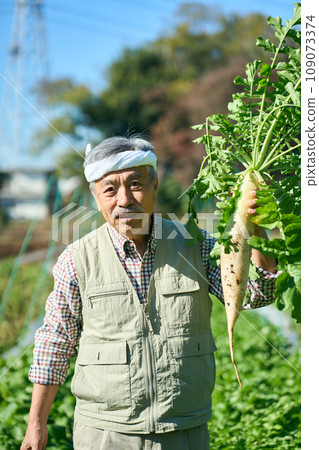 A man holding freshly harvested radish in his hand 109073374