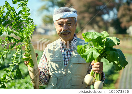 A man holding freshly harvested radish and turnips in his hands 109073836