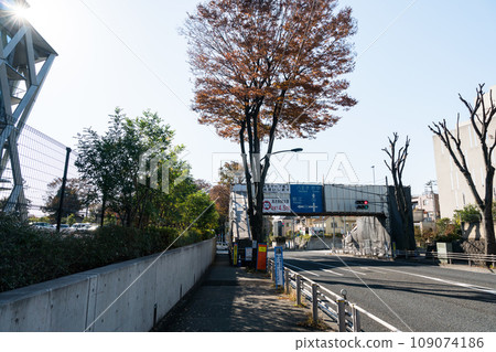 Stroll along Koshu Kaido, Mayo Terrace, blue autumn sky, Chofu City, Tokyo Stroll along Koshu Kaido, Mayo Terrace, blue autumn sky, Chofu City, Tokyo 109074186