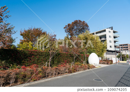 東京調布市仙川梅奧露台旁的長廊,清爽的秋氣和秋葉 東京調布市仙川梅奧露台旁的長廊,清爽的秋氣和秋葉 109074205
